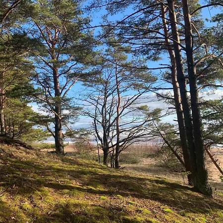 Valsid Puhkemaja *